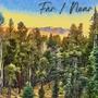 Far / Near