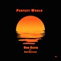 Perfect World (feat. Ron Restless)