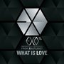 'WHAT IS LOVE' EXO-M 프롤로그 싱글 1st