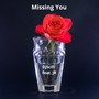 Missing You (Exclusive Dance Vocal)