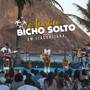 Acústico Bicho Solto