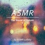 Rain Sounds for Deep Sleep (ASMR, White Noise, Nature Sound)