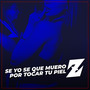 Se Yo Se Que Muero Por Tocar Tu Piel Z (En Vivo)