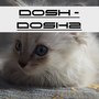 Dosh2