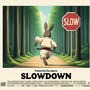 slowdown