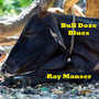 Bull Doze Blues