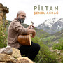 Piltan