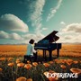 Experience