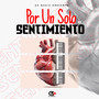 Por un Solo Sentimiento, Vol. 1 (Explicit)