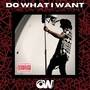 DO WHAT I WANT (Explicit)