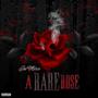 A RARE ROSE EP (Explicit)