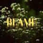 Blame