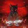 Gato Negro