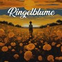 Ringelblume