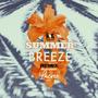 Summer Breeze (feat. Lacree) [Explicit]