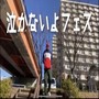 泣かないよフェス