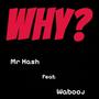 WHY? (Produced by SND) (feat. Wabooj)