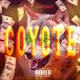 COYOTE (Explicit)