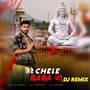 TERE CHELE BABA JI DJ Remix