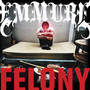 Felony