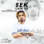 Sek Lain De (Remix) - Single