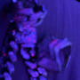 Cold summer (Explicit)