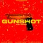 GunShot