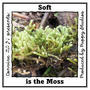 Soft is the Moss