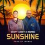 Sunshine (feat. Skopy Lonky) [NJ Mix]