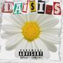 Daisies (Explicit)