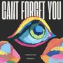 Can't Forget You (feat. Coachelly)