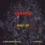 Synapse