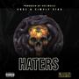 Haters (feat. Simply Vika) [Explicit]