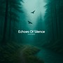 Echoes Of Silence