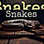 Snakes (feat. JayKhasoDream) [Explicit]