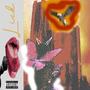 liCC (Explicit)