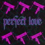 Perfect Love (Explicit)