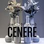 Cenere (feat. Frankie B)