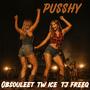 Pusshy (feat. TW ICE & T.j. Freeq)