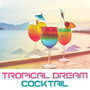 Tropical Dream Cocktail: 2019 Chillout Electronic Beats for Beach Relaxation with Friends & Cool Cocktails, Tropical Memories, Good Vibrations