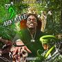 Slime 2 Aggravated (Explicit)