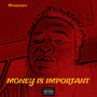 Money Is Important (Explicit)