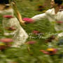 bridal love