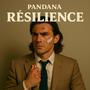 Résilience