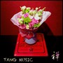 TANG.MUSIC 禅