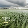 芦苇飞（说唱版）
