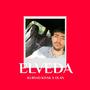 Elveda (feat. Olan) [Explicit]