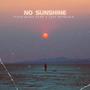 NO SUNSHINE (feat. Just Bothlale & Tshego Judah)