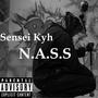 N.A.S.S (Explicit)