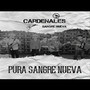 Cardenales Sangre Nueva (En Vivo)